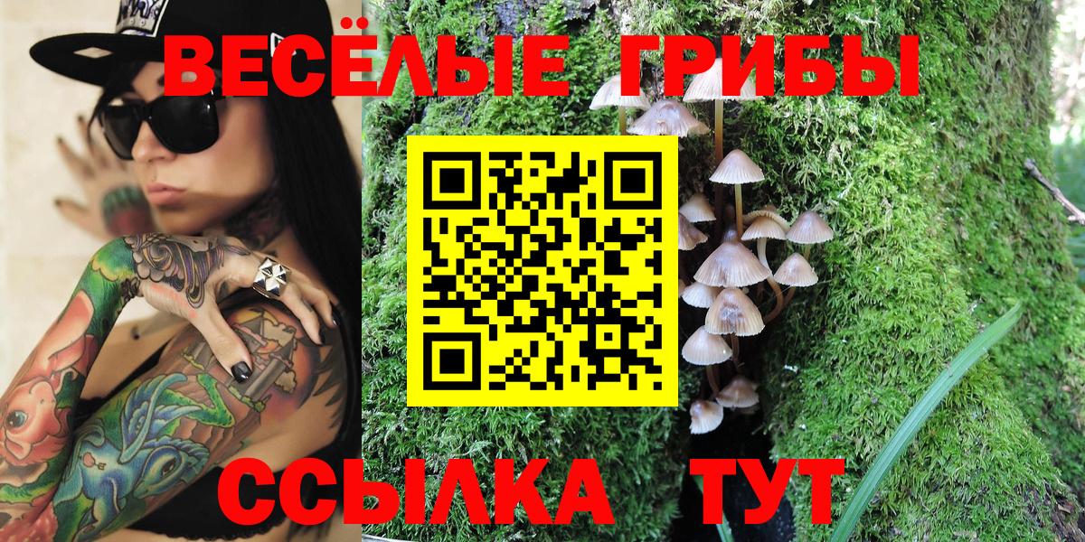 Псилоцибиновые грибы Magic Shrooms Реутов